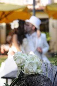 Italian Wedding Dreams 1099859 Image 0